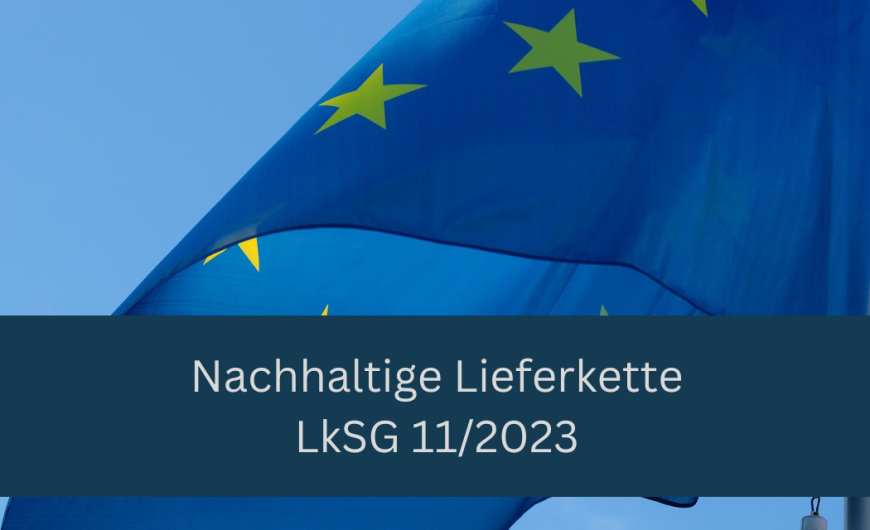 Nachhaltige Lieferkette – LkSG 11/2023